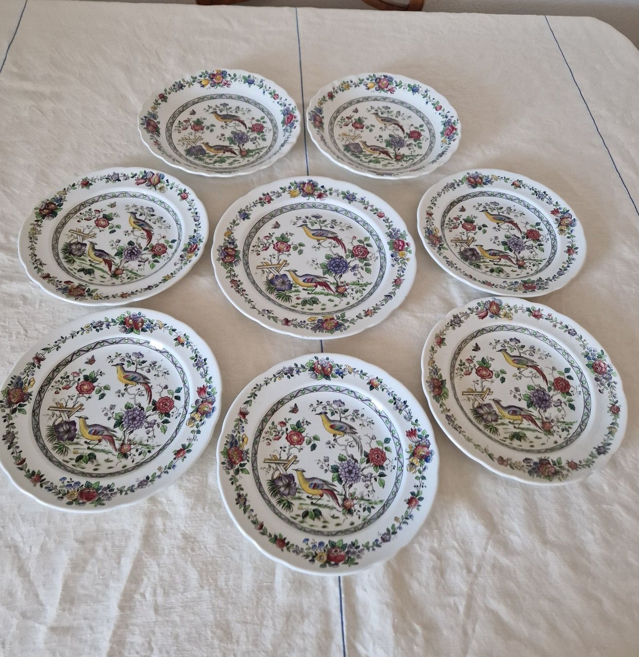 Spode Piatti: Spode Teller Antik – Usato da Bern venduto da Antikbatik