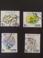 Thailand (-35%) - Blumen 1996