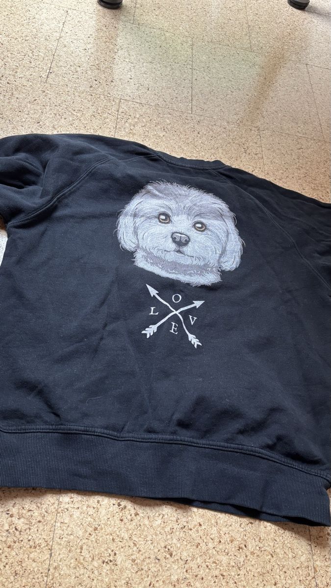 Maglioni & Felpe: Malteser Pullover/Sweatshirt, Einzelstück – Usato da Roggwil BE venduto da R.. 1
