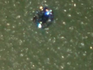 Pietre preziose: ECHT DIAMANT 1CARAT,,,RUND FORM,,,GLANZIG – Nuovo (secondo la descrizione) da Basel venduto da bijoutrie_4 7