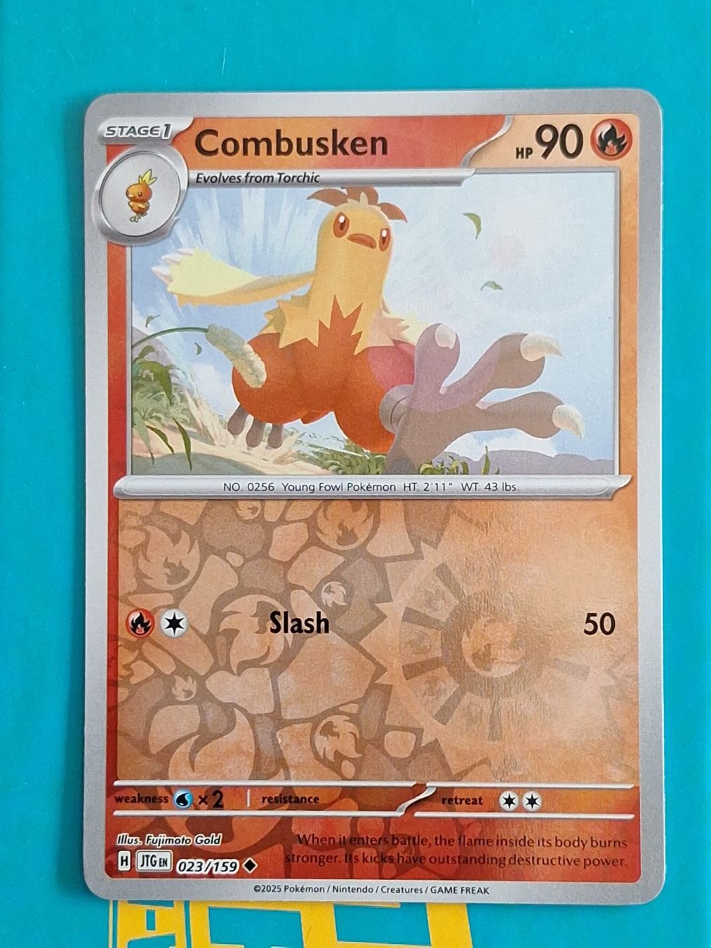 Pokémon Carte collezionabili: Combusken - Reverse Holo Pokemon Journey Together #1.7 – Usato da Altstätten SG venduto da GGsGameshop