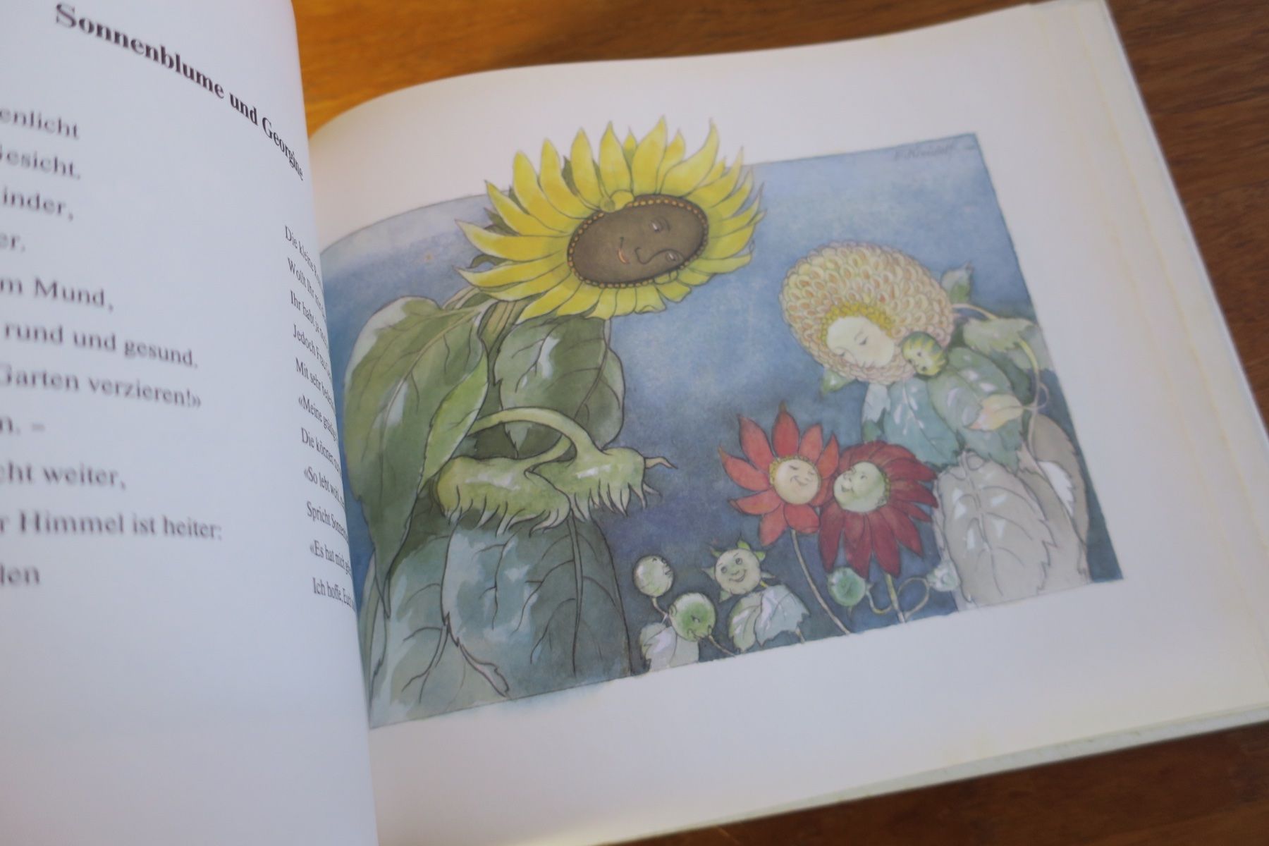 Libri: Ernst Kreidolf / BLUMENMÄRCHEN – Usato da Langenthal venduto da Riccardamax 7