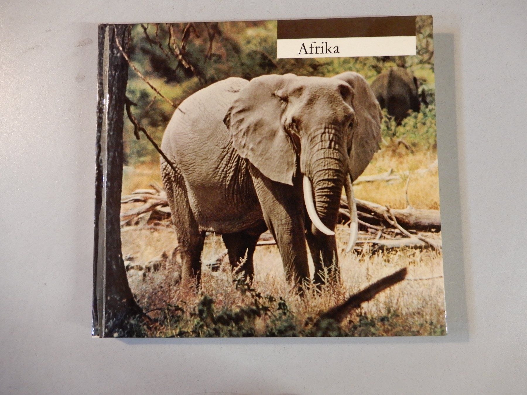 Bücher: Bildband "Afrika" Emil Schulthess Top Zustand – Gebraucht aus Erstfeld von Mario_boe0