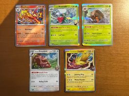 Pokemon Holo Karten Set (Versand gratis)