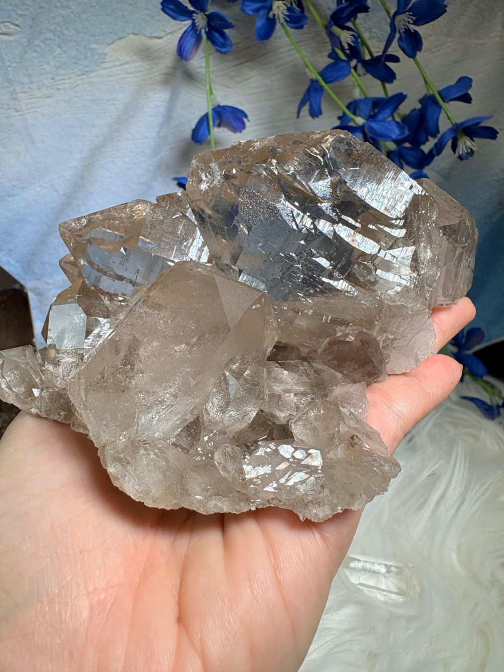Pietre preziose: Rauchquarz Gwindel Grimelpass – Nuovo e nell'imballaggio originale da Neuheim venduto da m.hald
