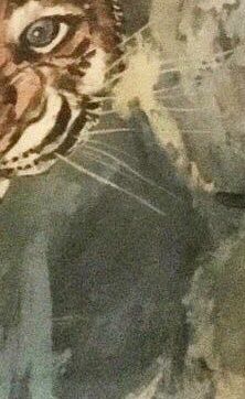 Foto & Immagini: Vintage Tigerbild – Usato da Schlieren venduto da Jeajet 4