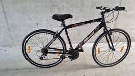 Vélo de ville et de randonnée