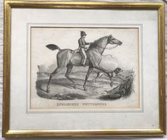 K. J. Brodtmann (1787-1862) - Litho - Englischer Wettrenner