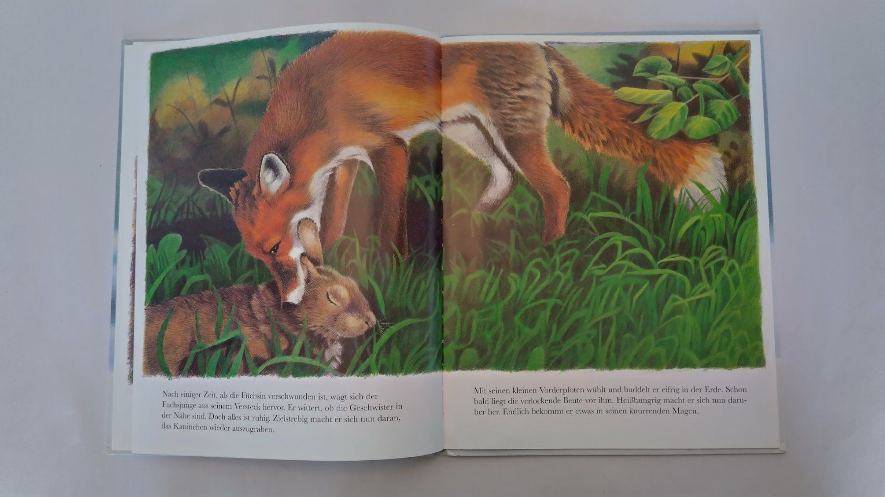 Bücher: Fuchs - Bilderbuch / Fuchsbeute / Ab Fr. 8.- – Gebraucht aus Bellach von JingleJerry 5