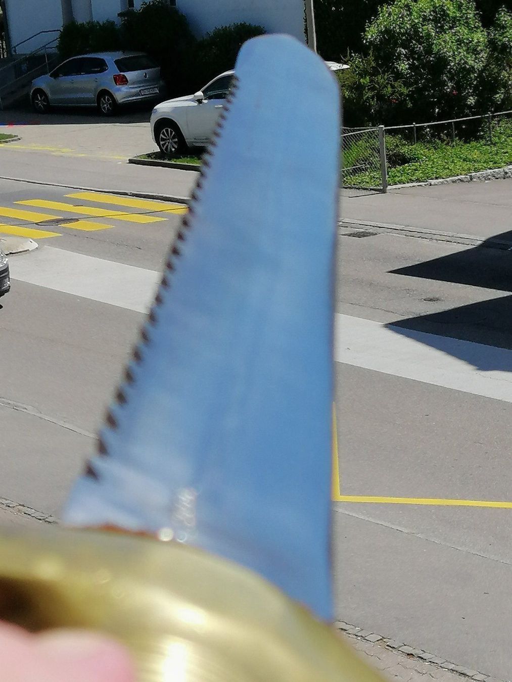 Armi bianche: FASCHIENEN MESSER KANT. BERN – Usato da Maschwanden venduto da OliverM05 5