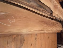 Europäischer Nussbaum Furnier Bund 13