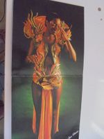 Amii Stewart " Paradise Bird " LP Deutschland 1979 (VG)