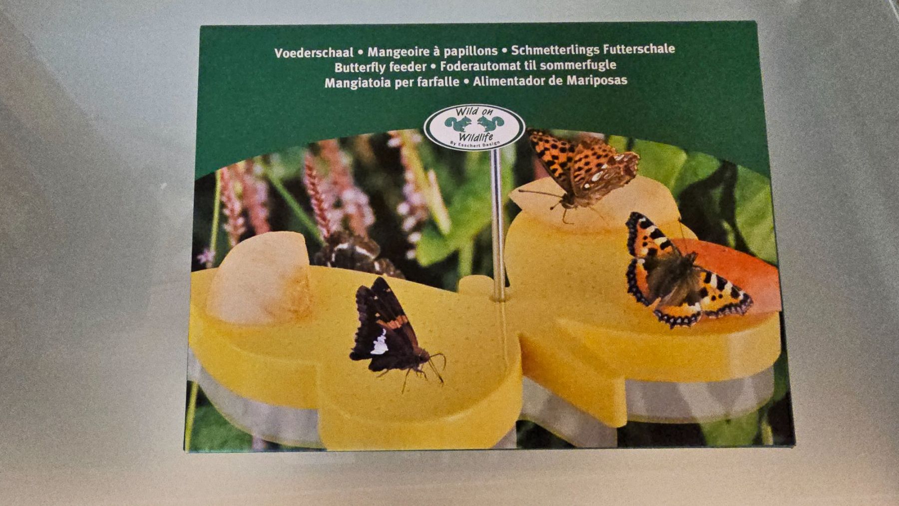 Libri: Esschert Design Schmetterlings tränke – Nuovo e nell'imballaggio originale da Koppigen venduto da Bracher_Mail-House