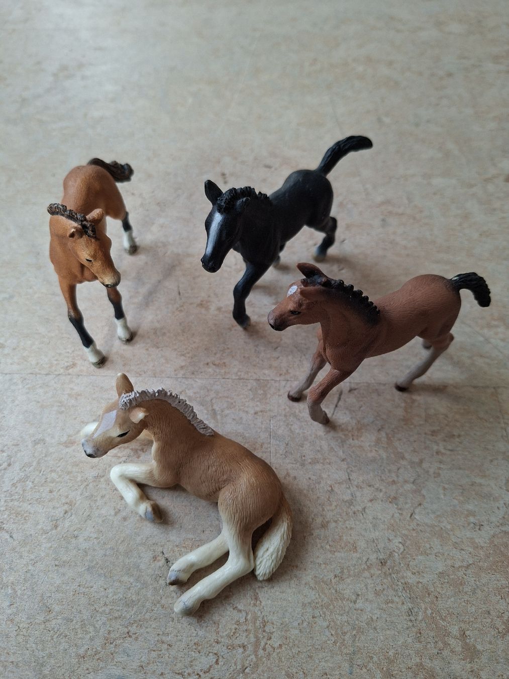 Schleich Giocattoli: Schleich Fohlen Mix: 4 Stück – Usato da Klingnau venduto da vollmond36