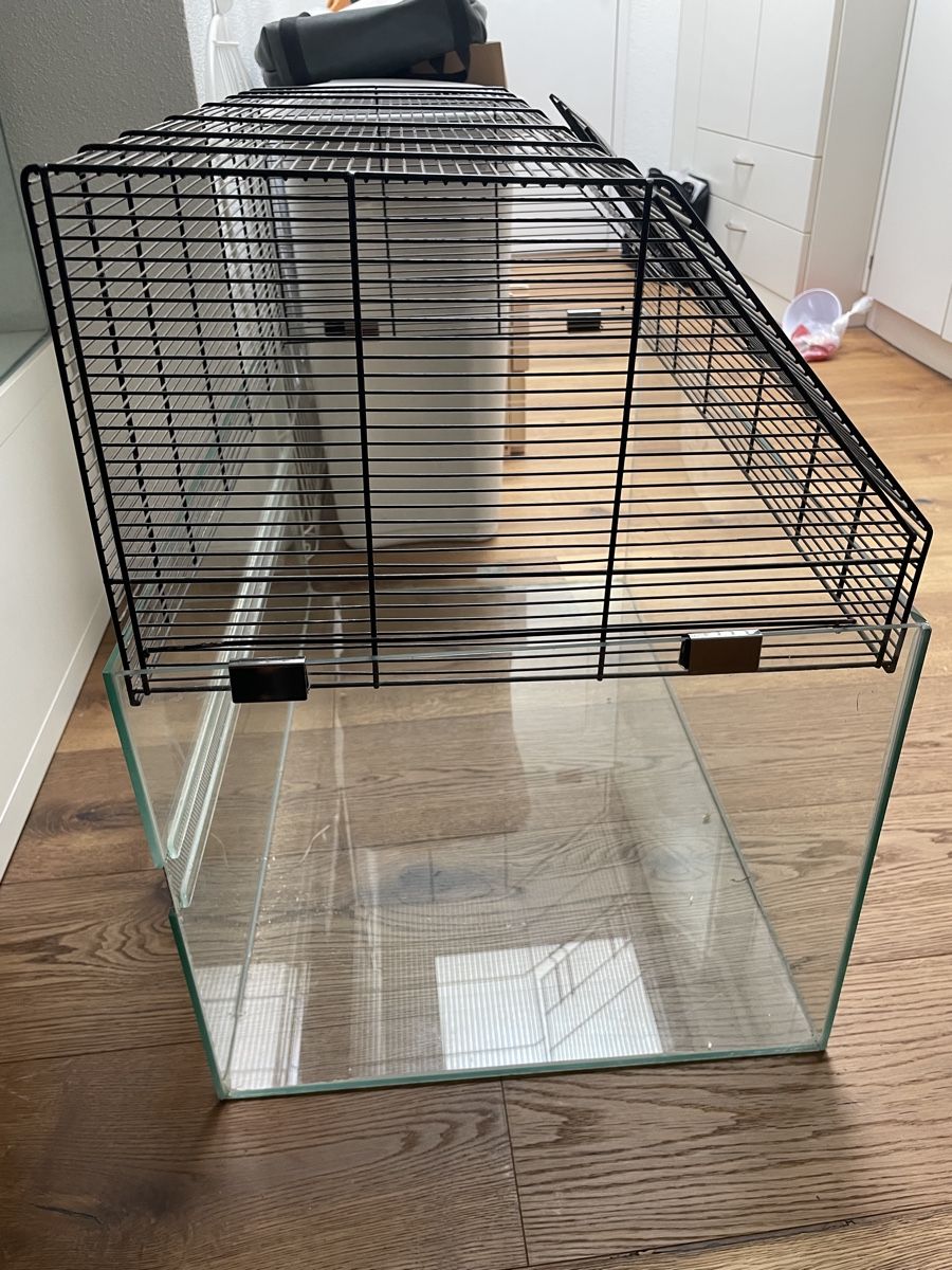 Terrarium: Terrarium Nager – Gebraucht aus Buchrain von famoruwi 2