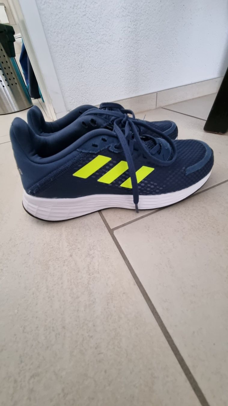 Adidas Scarpe da uomo: Adidas Hallenschuh Gr. 33 – Usato da Ganterschwil venduto da Nike18