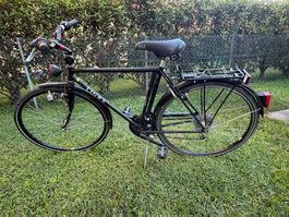 Tigra - Velo