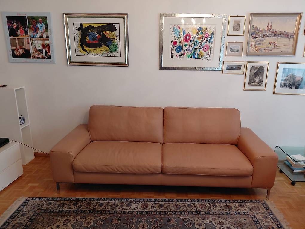 Divani: Ledersofa – Usato da Möhlin venduto da Joselito01 1