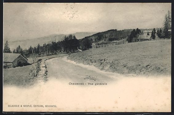 Cartoline postali: AK Chaumont /NE, Vue générale, 1900 – Usato da Berlin venduto da bartko-reher