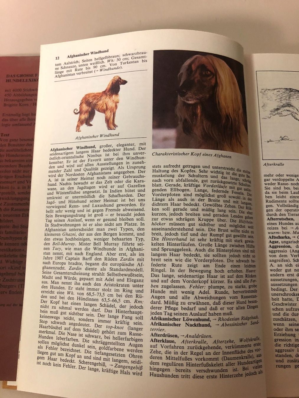 Libri: Hundelexikon- Buch ! – Usato da Brügg BE venduto da better14 3