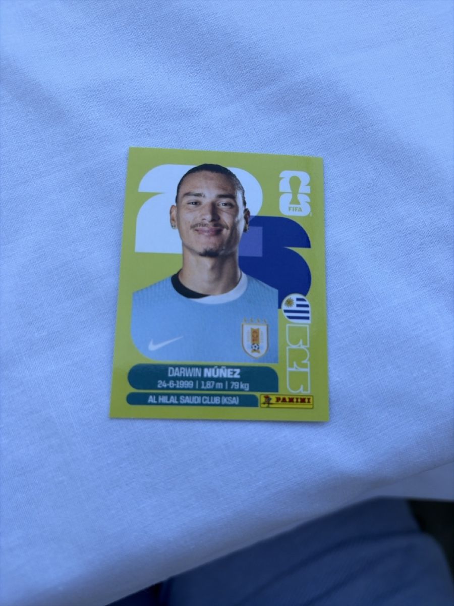 Panini Sammelbilder & Trading cards: Darwin Núñez – Neu (gemäss Beschreibung) aus Dornach von metallbau.ch