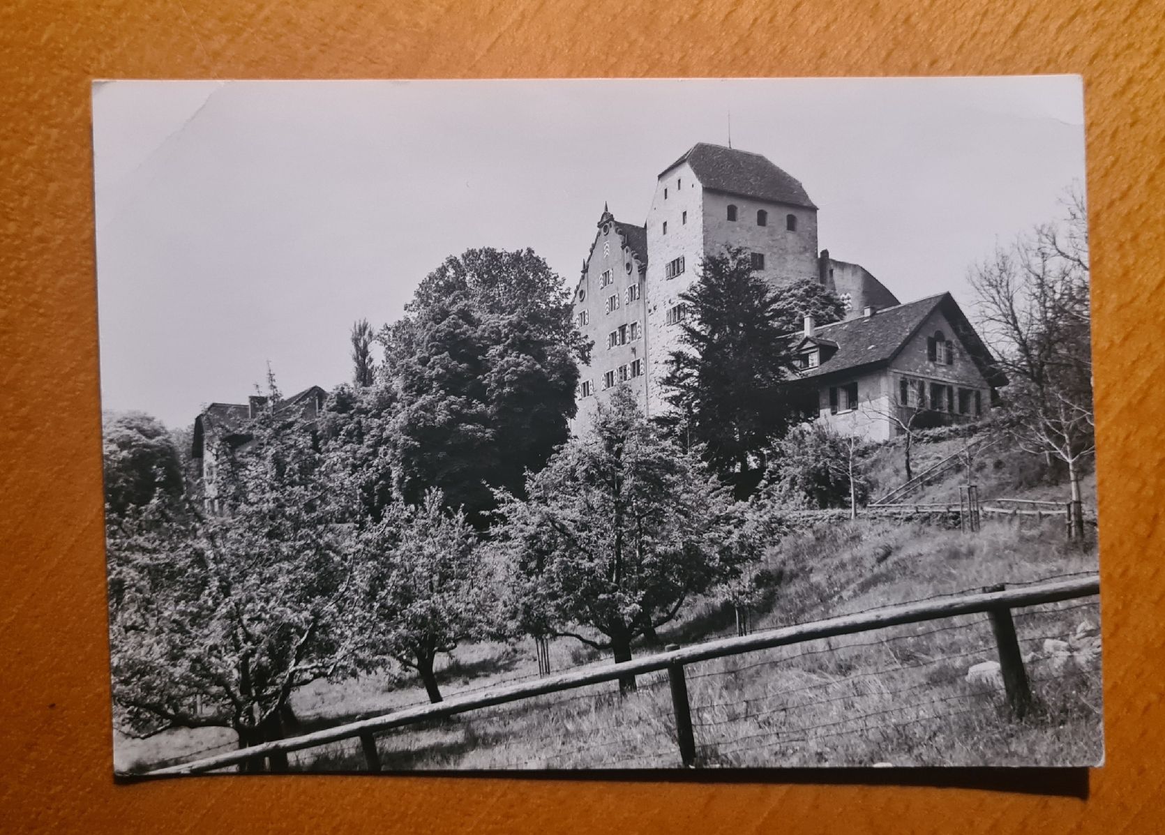 Cartoline postali: Schloss Wildegg, Feldpost – Usato da Ebikon venduto da Donar50
