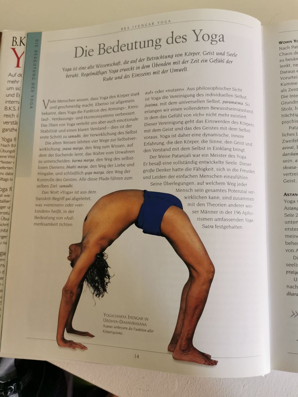 Libri: YOGA - B.K.S. Iyengar – Usato da bern venduto da jeannie2006 7