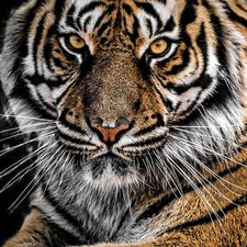Profile image of Winu71