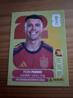 Carte FIFA World Cup 2026 Pedro Porro United Edition