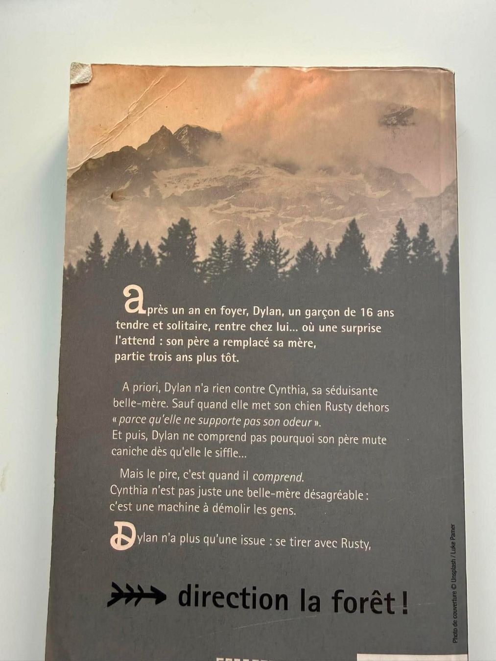 Livres: Livre "Dylan Dubois" – D'occasion à Neuchâtel par Estelle.NE 1