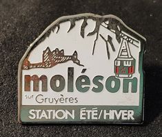 W262 - Pin moléson sur Gryères Gondel Station ÉTÉ / HIVER