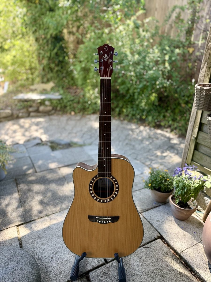 Harley Benton Strumenti musicali: Harley Benton HB Custom Line CLD-1048SCE-LH – Usato da Biessenhofen venduto da waltermaarse