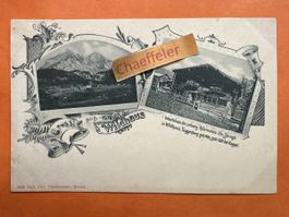 Gruss aus Wildhaus Toggenburg ca. um 1900