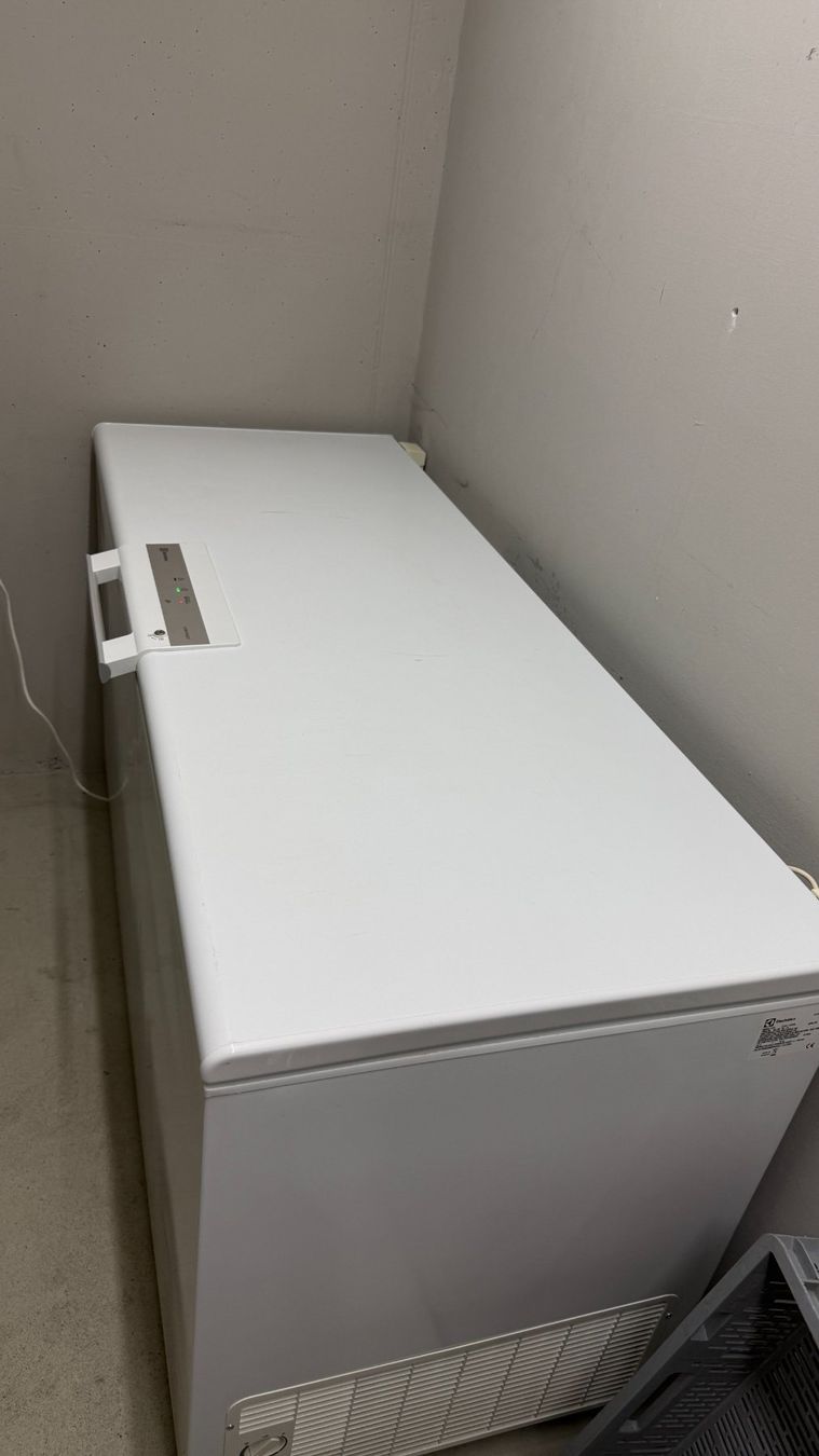 Electrolux Congelatori: Tiefkühltruhe – Usato da Binningen venduto da ber_wk5v