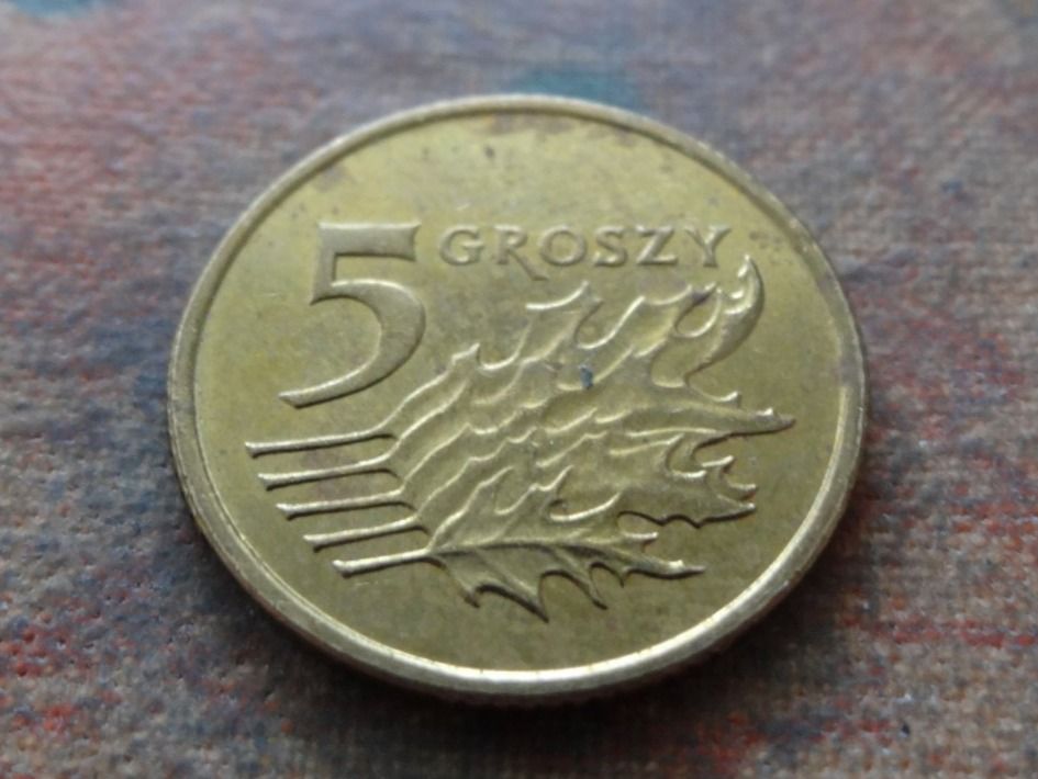 Toutes les monnaies: Pologne  5  Groszy  2011 – D'occasion à Romanel-sur-Lausanne par Swift13 1
