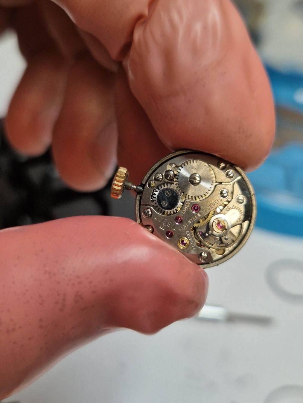 Tissot Orologi: Tissot - mécanique - 19mm – Usato da Sembrancher venduto da nat_k8yk 2