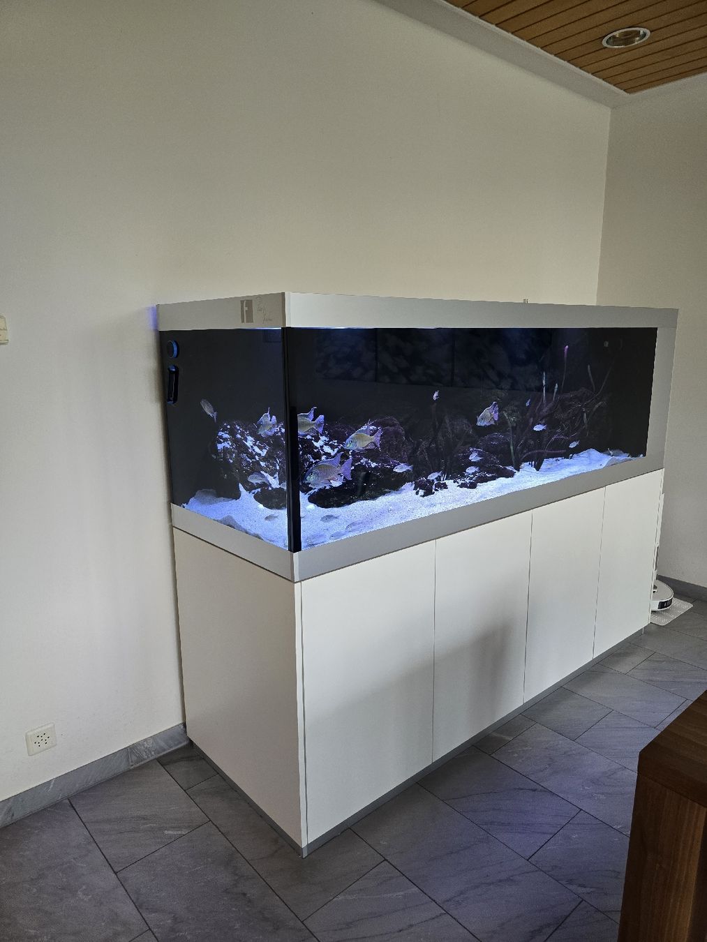 Acquari: Aquarium 1000 Liter – Usato da Suhr venduto da ronny019