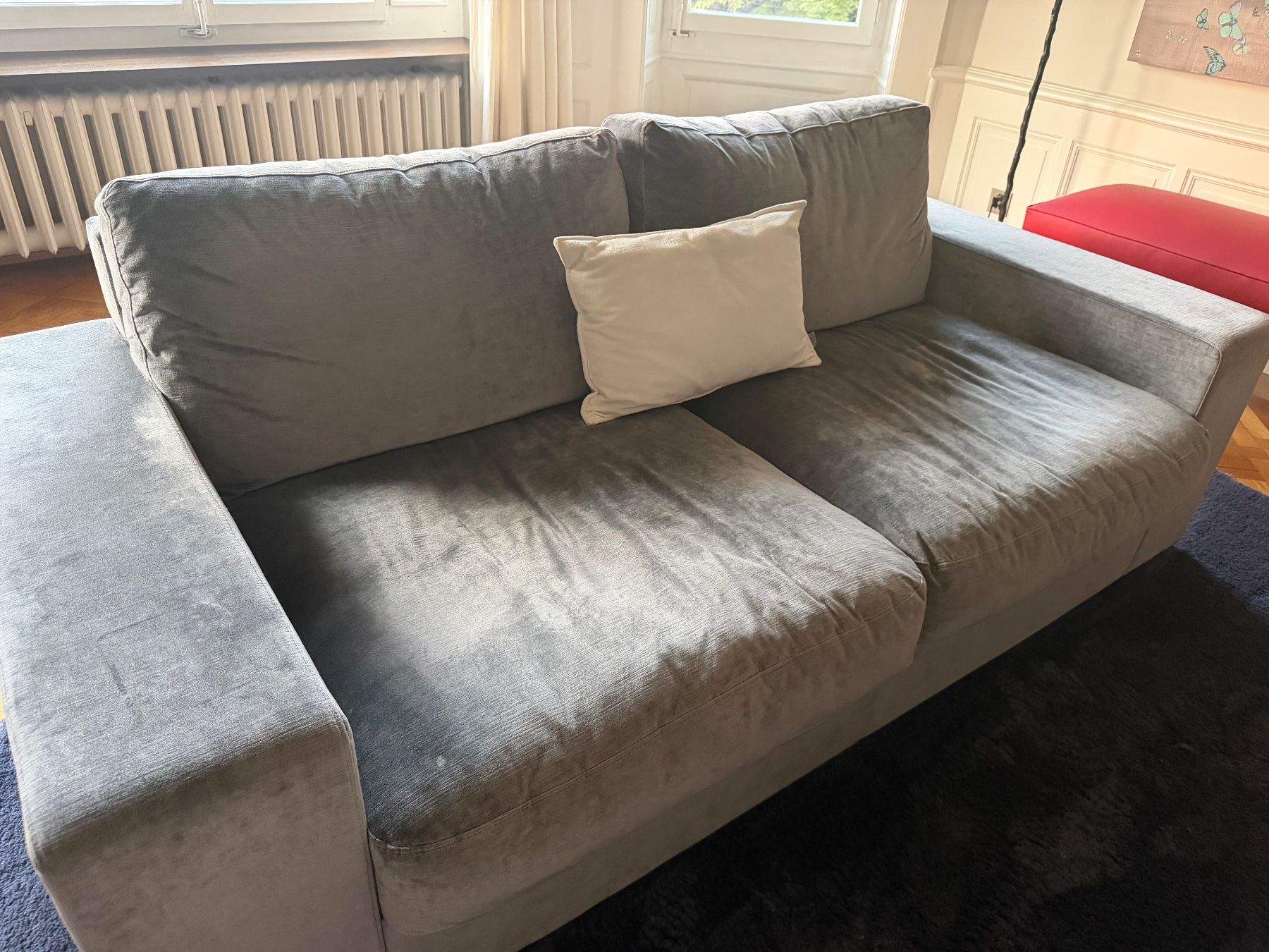 Divani: 2 canapés identiques gris – Usato da Genève venduto da car_58k6 1