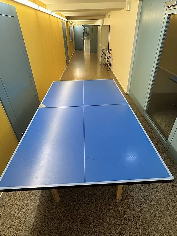 Tischtennis: Tischtennis-Platte – Gebraucht aus Basel von dyl_mz2m 2