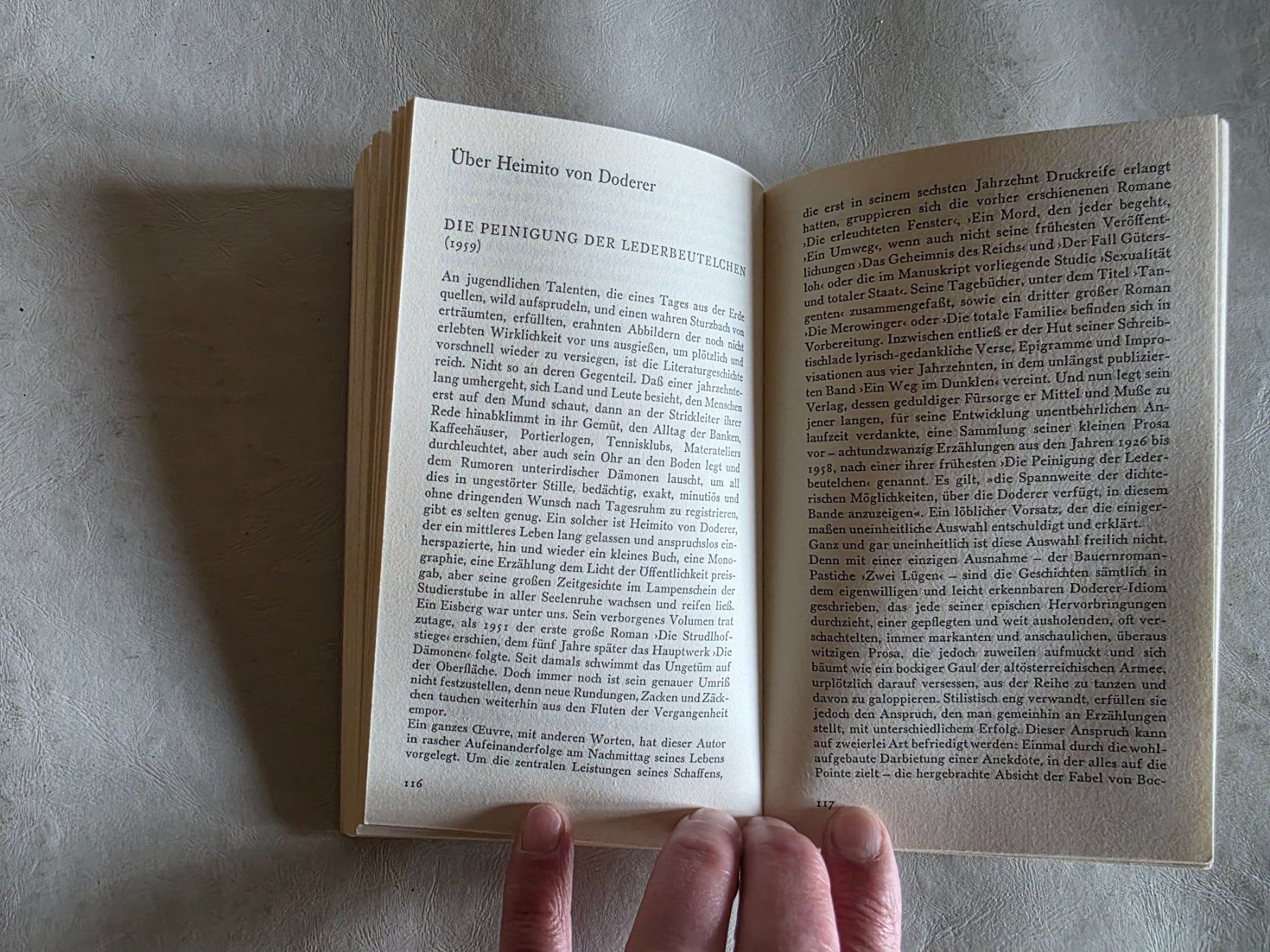 Libri: Hilde Spiel - Kleine Schritte - Edition Spangenberg - 1976 – Usato da Walterswil BE venduto da Lonitti 2