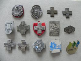 Medaille 14 Sport Abzeichen Brosche Wetzikon ZH 1902 - 2016