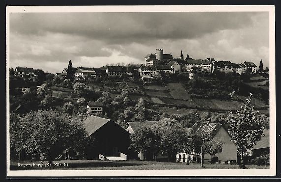 Cartoline postali: AK Regensberg, Panoramablick auf den Ort – Usato da Berlin venduto da bartko-reher