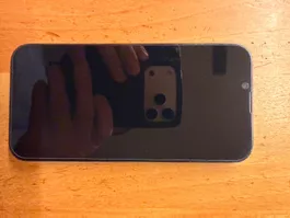 Apple iPhone 13 Pro (256GB)