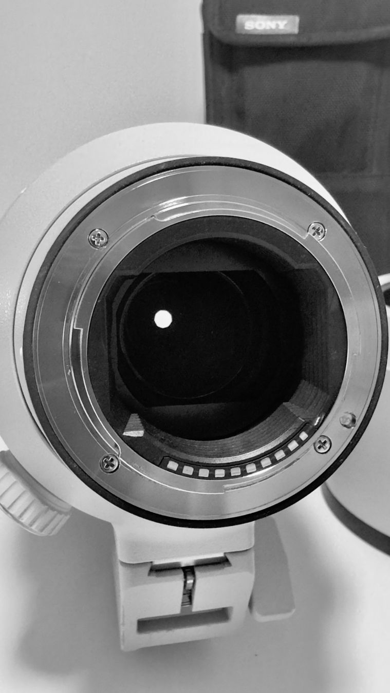 Sony Obiettivi: Sony FE 100-400mm F4.5-5.6 GM OSS E-Mount Vollformat – Usato da Oberwil BL venduto da IANV2010 7