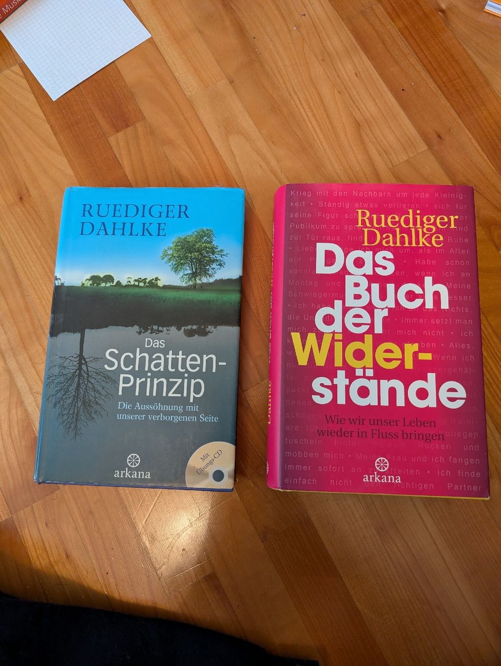 Libri: Das Buch der Widerstände und das Schatten Prinzip – Usato da Benglen venduto da kintaro-oe