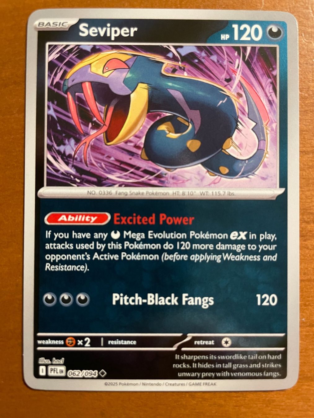 Pokémon Carte collezionabili: Pokemon Seviper Reverse (Versand gratis) – Nuovo (secondo la descrizione) da Chur venduto da Angerson