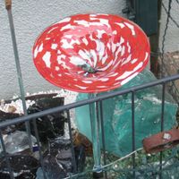 Glas Vogeltränke rot-weiss-klar