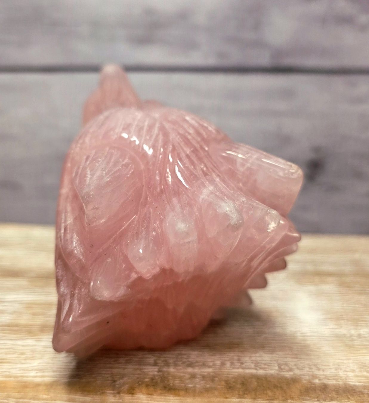 Minerali & Pietre curative: Top Rosenquarz Wolf 835g – Nuovo e nell'imballaggio originale da Matzingen venduto da Shay_Crystalz 2