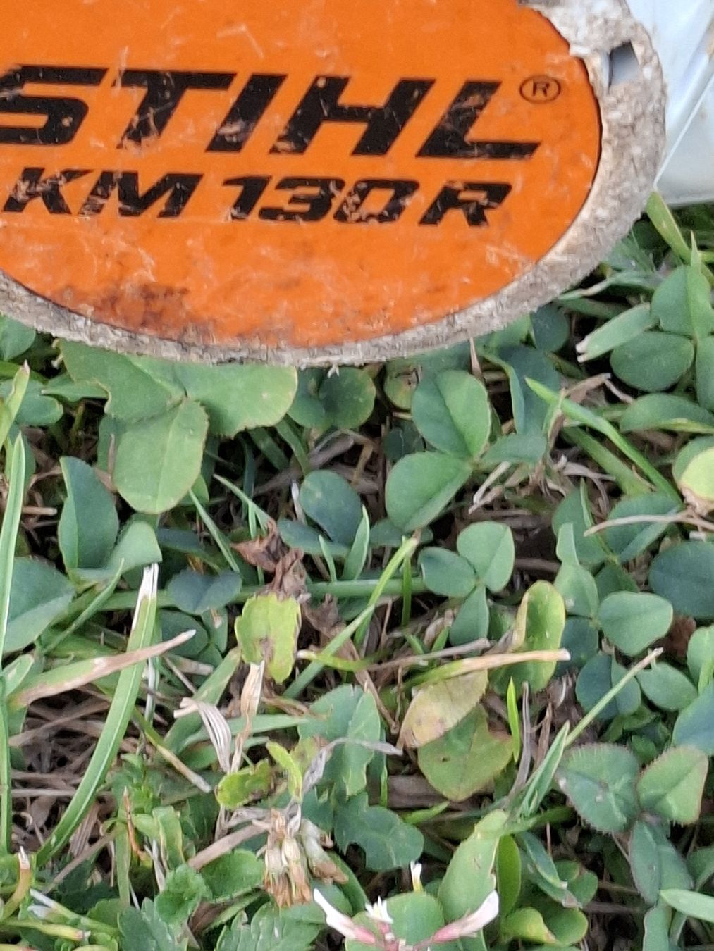 Stihl Tagliaerba: Rasentriemmer STIHL KM 130R – Usato da Emmenbrücke venduto da dsn15 2