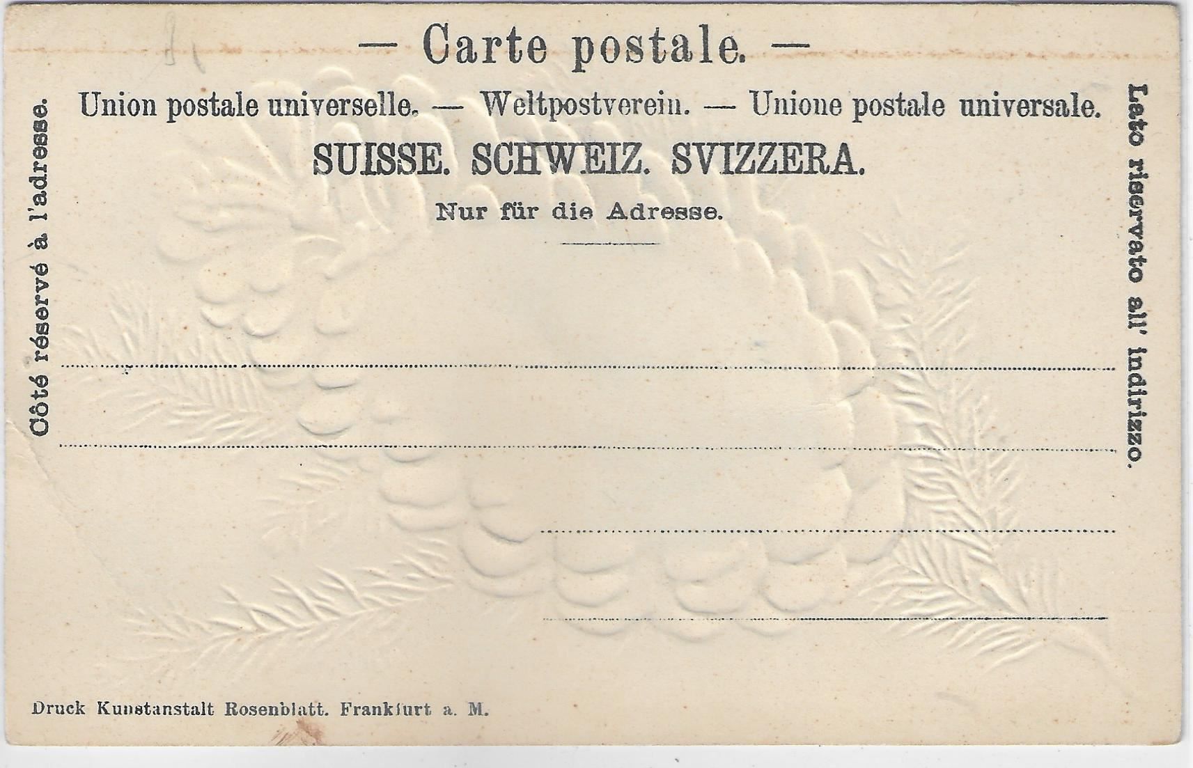 Ansichtskarten: Wädenswil - Obst & Weinbauschule - Litho – Gebraucht aus Ettingen von Kartenplanet 1